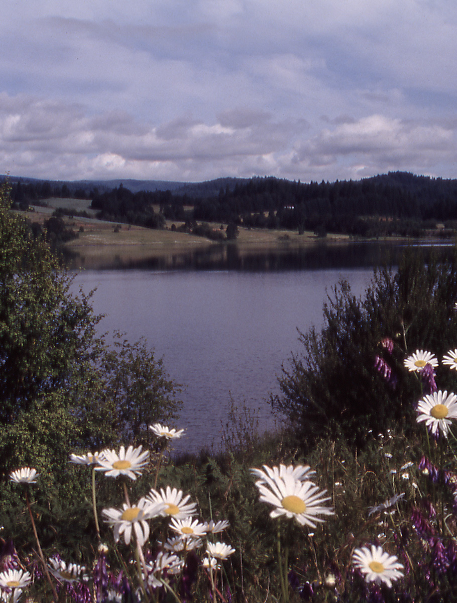 Haig Lake